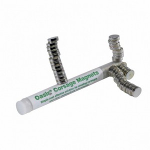 OASIS CORSAGE MAGNET PZ 30