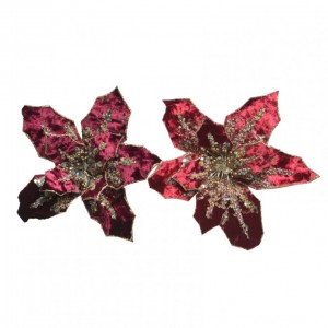 POINSETTIA C / CLIP CM 20X4