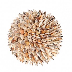 SFERA CONCHIGLIE STROMBUS D20 CM