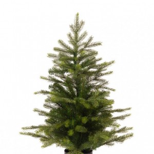 ALBERO GRANDIS C/VASO H90 cm - 313 TIPS