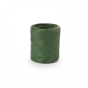 SPOLETTE polyraffia 15MM 200MT - verde