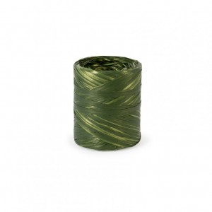 SPOLETTE polyraffia 15MM 200MT -verde/or