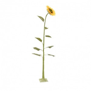 GIRASOLE C/BASE H150CM