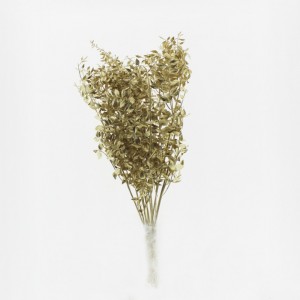 DRIED RUSCUS H60 / 70cm 150GR - gold