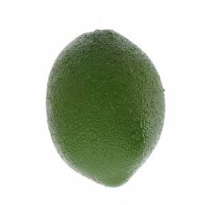 LIME D5X7.5 CM - frutto