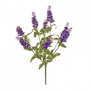 LAVENDER BUSH H33 cm LA2,25 - purple *