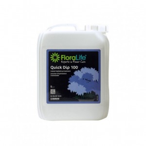 FLORALIFE QUICK DIP OASIS 5litri