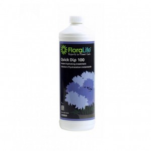 FLORALIFE QUICK DIP LT 1