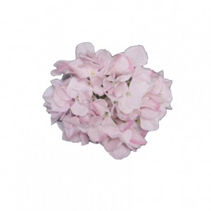 HORTENSE HEAD D18 cm OR4,45-light pink *