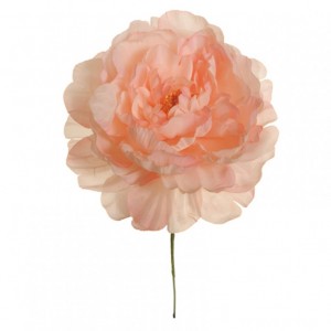 PEONY HEAD H14.5 cm PE0.95 - peach *