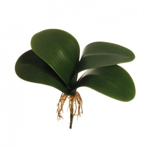 FOGLIA ORCHIDEA X4 29,5cm FO *