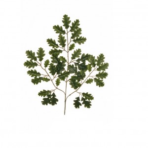 FOGLIA QUERCIA CM 56 FO -green *