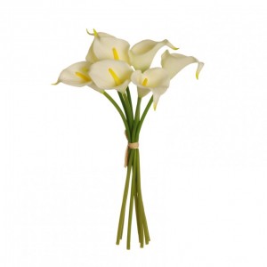 CALLA X7 H34cm - cream *