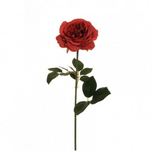 ROSA GARDEN H64 CM RO2,40 * red