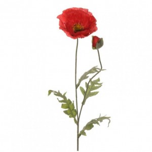 POPPY X2 CM 72 - PA2,30 *