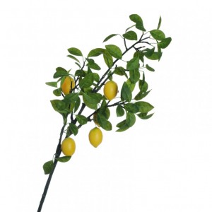 LEMON BRANCH X5 H120cm - LI30.53 *