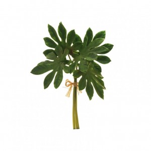 ARALIA mazzo X5 H44cm AR - green *