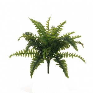 PIANTA FELCE BUSH X21 CM 55 FE *