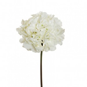 ORTENSIA H60 cm OR -white cream*