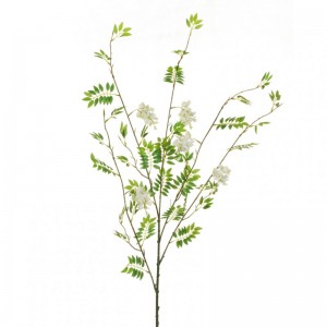 ACACIA SPRAY X5 CM107 AC *