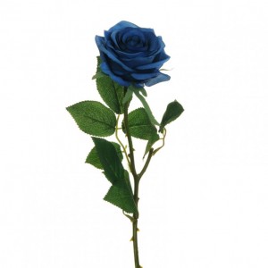 ROSA ECUADOR X1 H65 cm RO- blu*