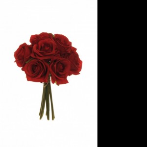 ROSE BUSH X9 25 cm RO- red *