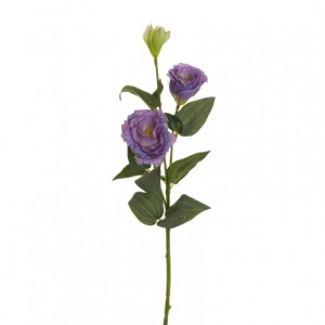 LISIANTHUS H71 cm LI - lavender *
