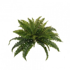 FELCE BUSH X36 H60 FE - green *