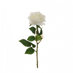 ROSA ECUADOR X1 H65 RO -bianco *