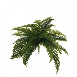 FERN PLANT BUSH X28 H-FE9,00 * green