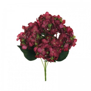 ORTENSIA BUSH H50 OR -fucsia green *