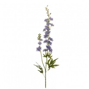 DELPHINIUM lizard X2 H87 DE -violet *