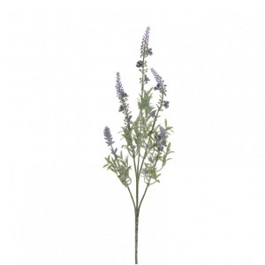 LAVENDER BUSH X5 H61 cm LA -lavender *