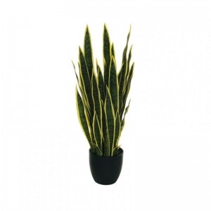 PIANTA SANSEVERIA H85 c/vaso PN-green*