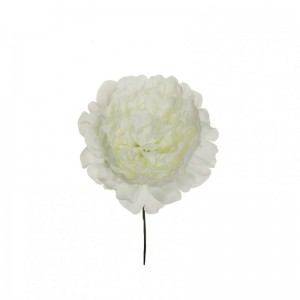 PEONIA TESTA D14 H18 cm PE -white *