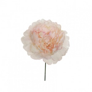 PEONIA TESTA D14 H18 cm PE -cream light*