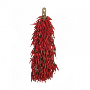 BUSH CHILI PEPPER h52-600 fruits-CD40,40 *