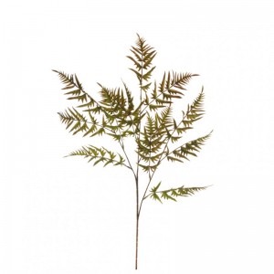 FOGLIA FELCE X3 H101cm FE - green brown*