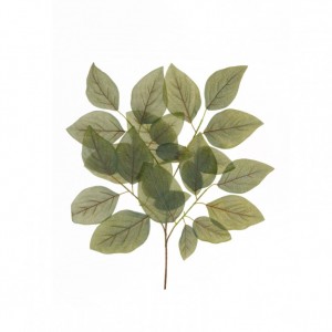 SALAL LEAVES X3 H60 - gray green red *