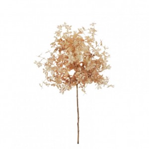 FOGLIE RAMO AUT H59 AU-cream l.brown*