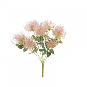 CORDIFOLIUM BUSH X7 43cm CO -light ora *