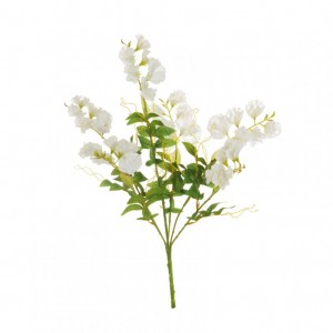 SMELLY PEA BUSH X6 H55 PI - white *