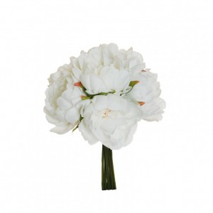 PEONIA BUSH X6 H29 PE - white*