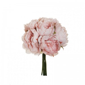 PEONIA X6 H29 - antique pink *