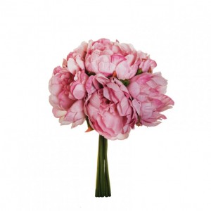 PEONY BUSH X6 H29 PE - fuchsia mauve *