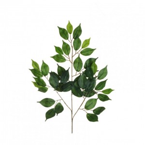 FOGLIE FICUS X3 H58cm FO - green *