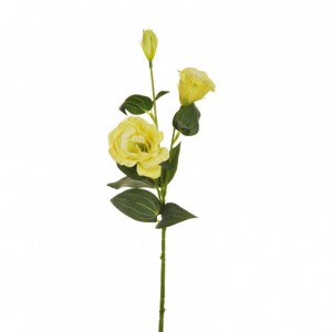 LISIANTHUS H71 cm LI - light yellow *