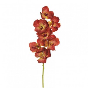 ORCHIDEA VANDA X7 H78 OR - brown red *