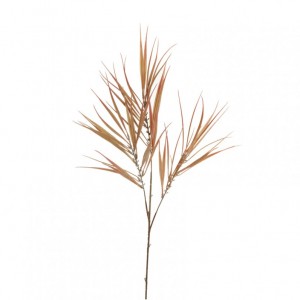 GREVILLEA X3 H85 AU - light brown pink *