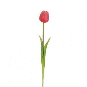 TULIPANO rubber H46 TU - fucsia*